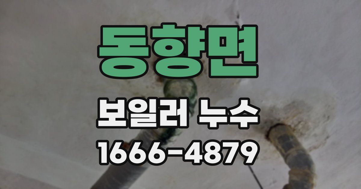 동향면 보일러 누수