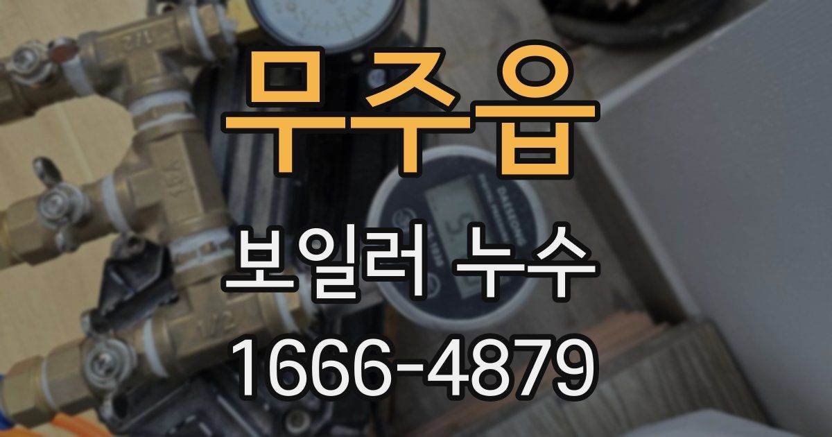 무주읍 보일러 누수