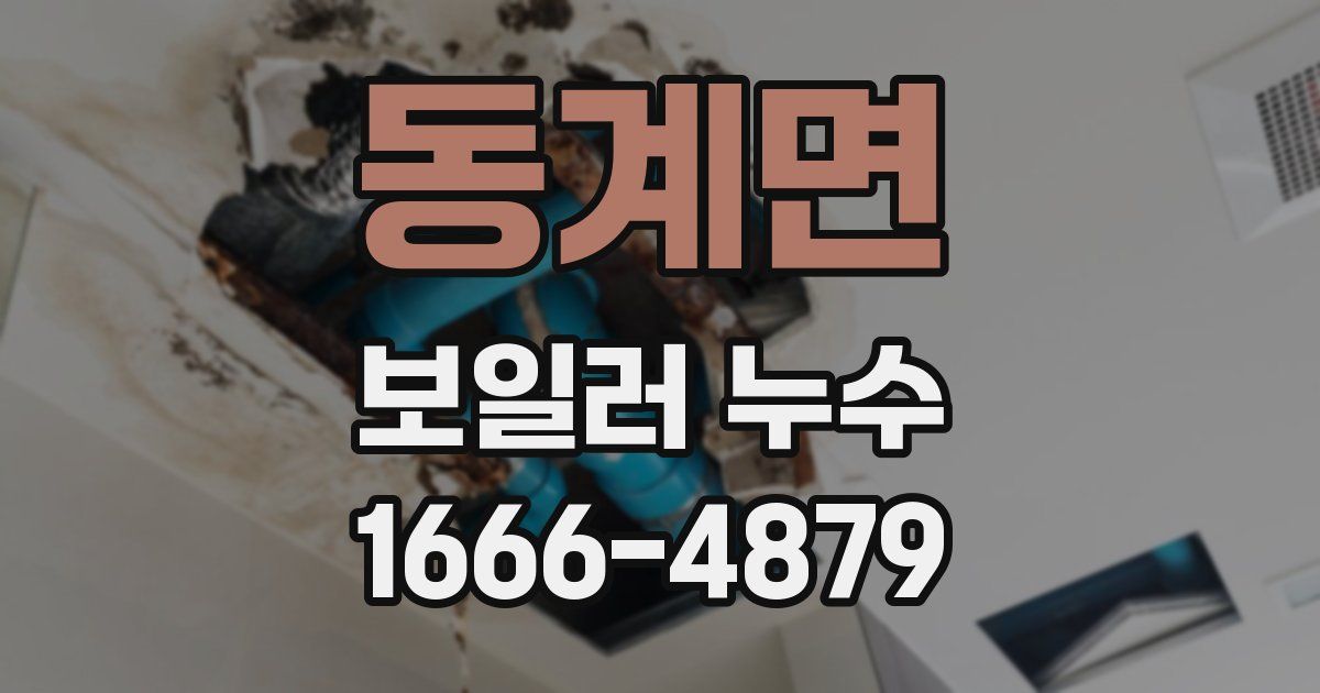 동계면 보일러 누수