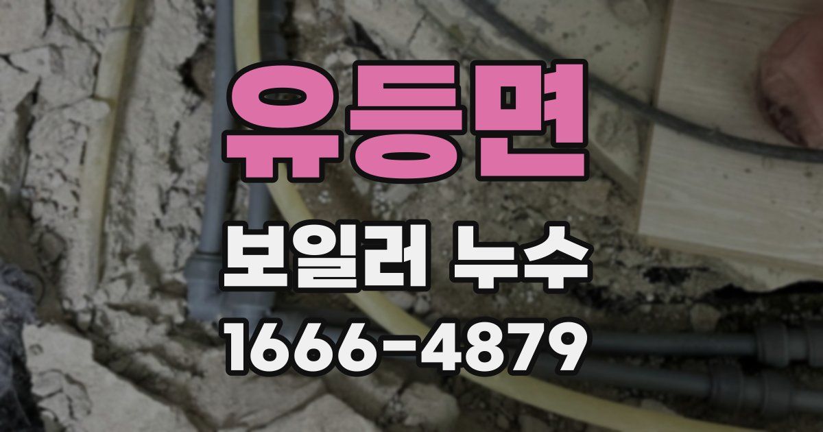 유등면 보일러 누수