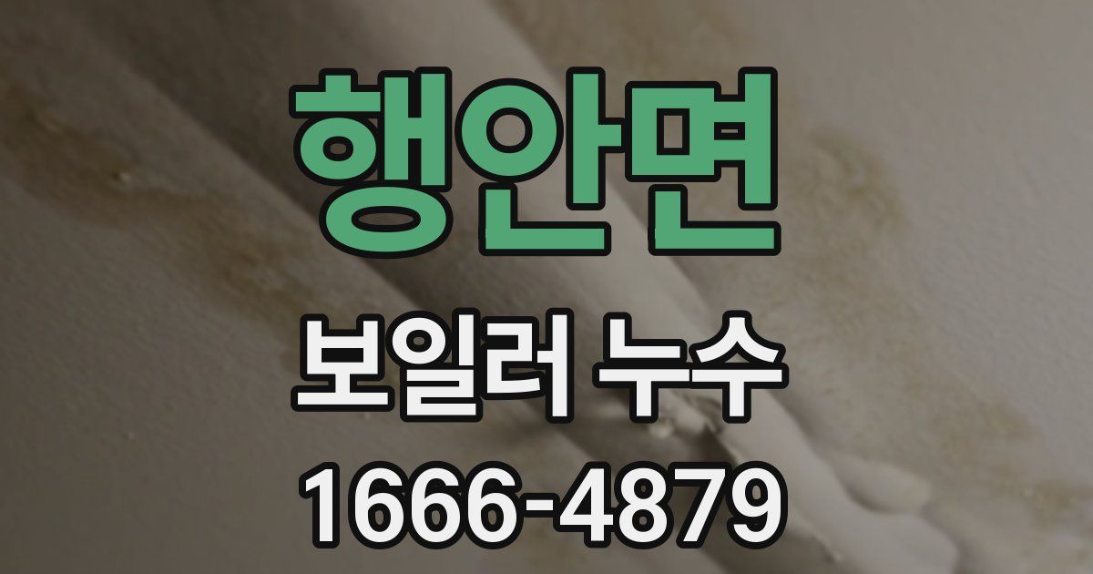 행안면 보일러 누수
