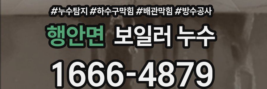 행안면 보일러 누수