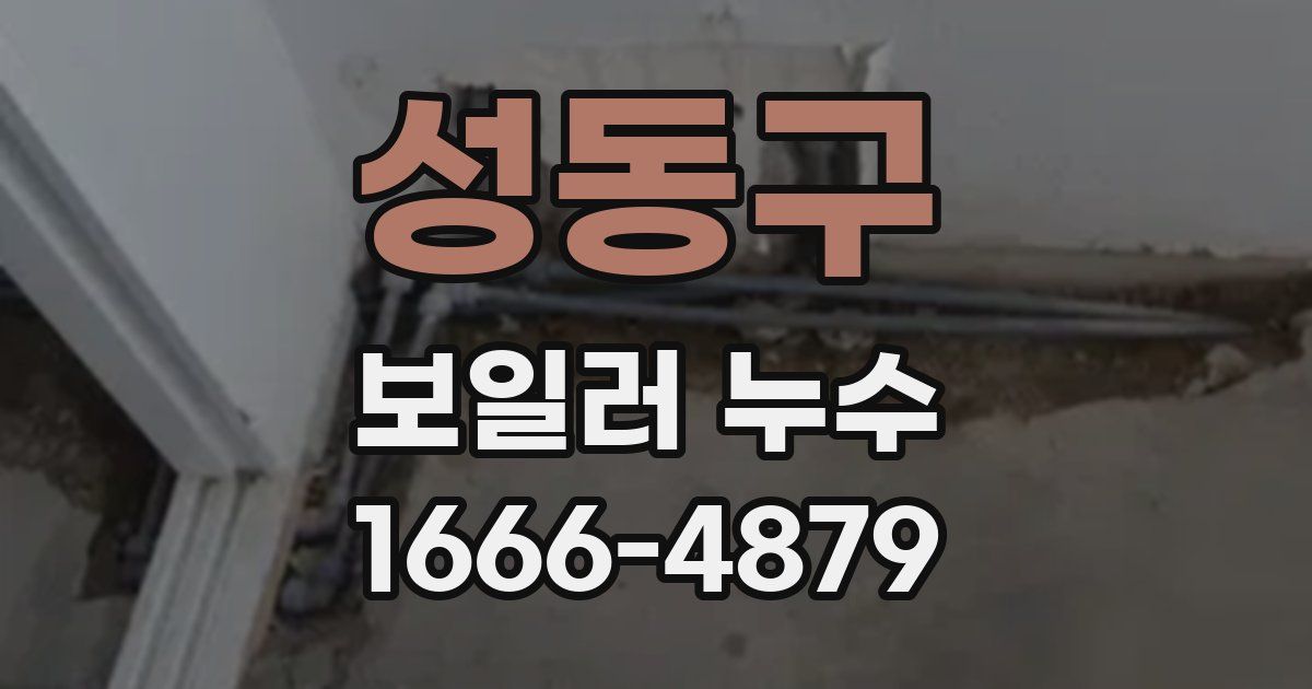 성동구 보일러 누수