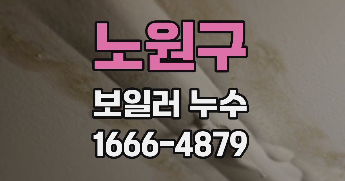 노원구 보일러 누수