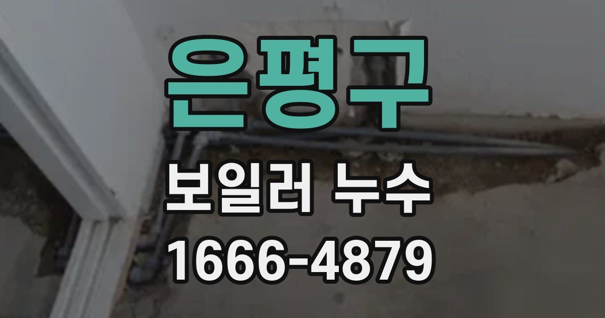 은평구 보일러 누수