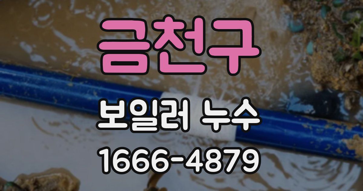 금천구 보일러 누수