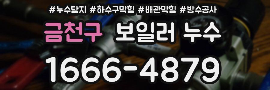금천구 보일러 누수