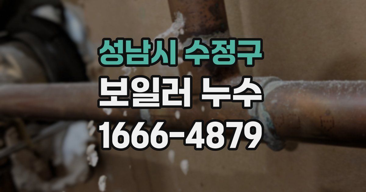 성남시 수정구 보일러 누수
