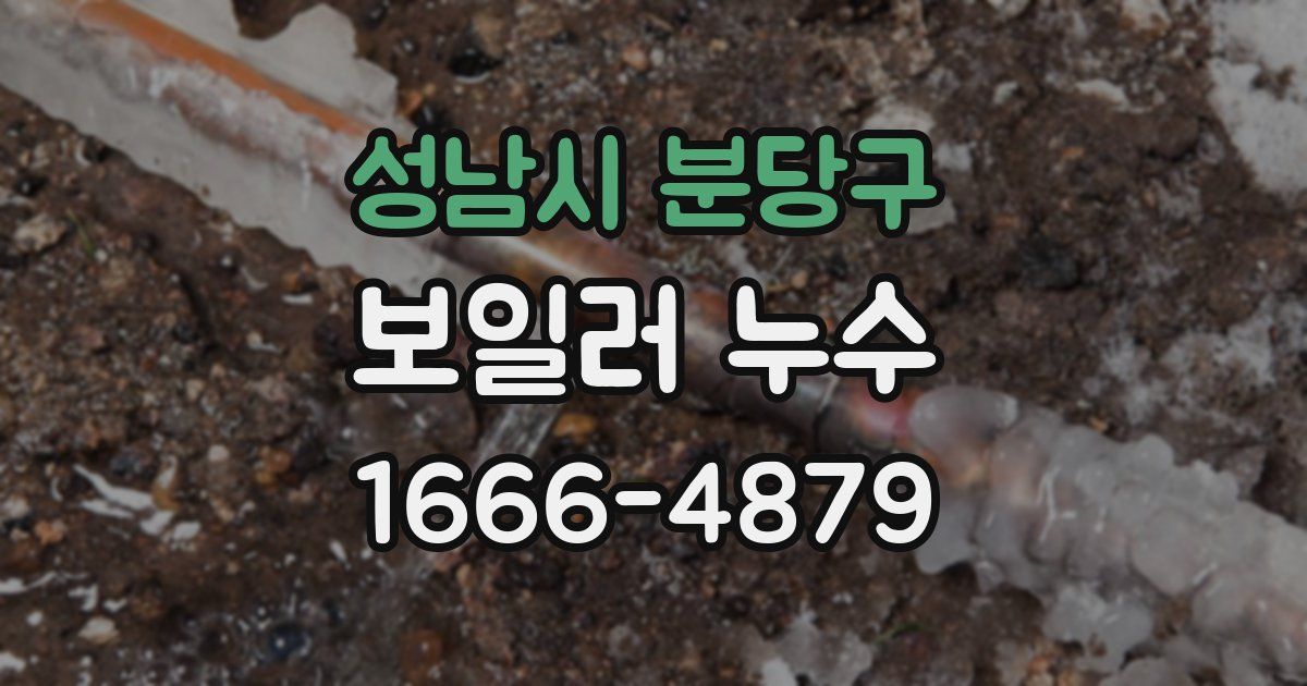 성남시 분당구 보일러 누수