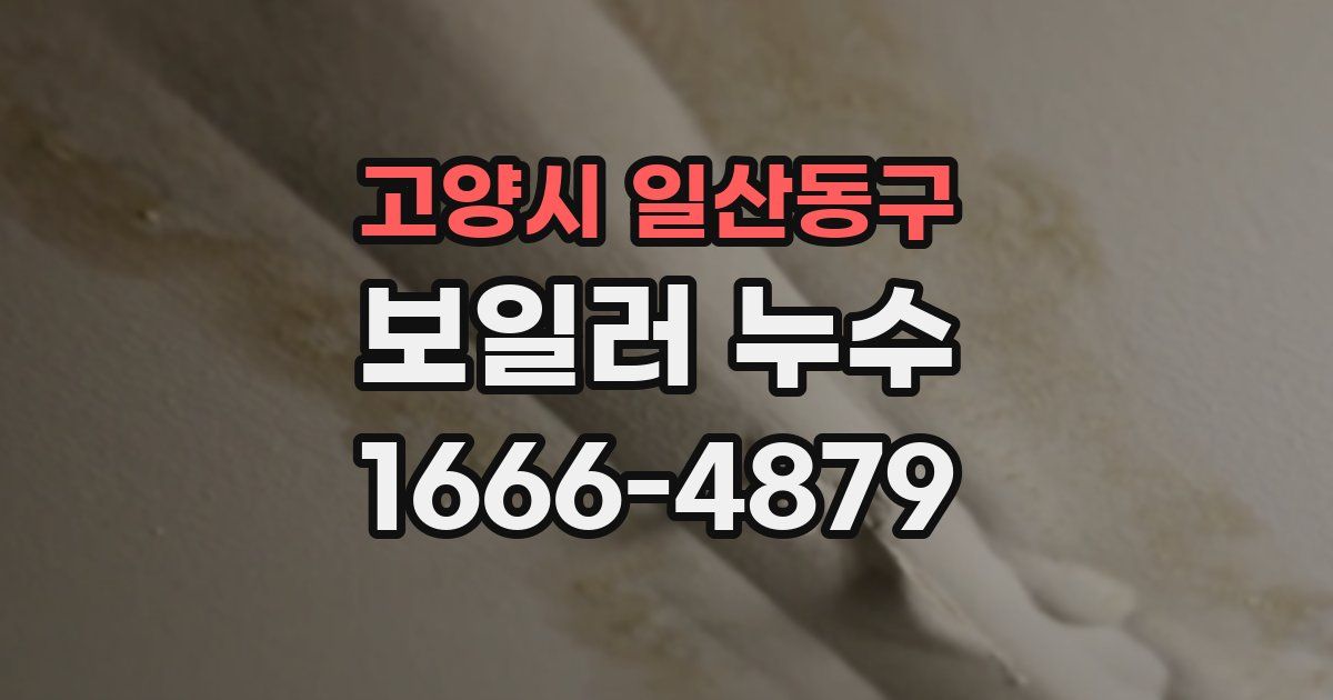 고양시 일산동구 보일러 누수
