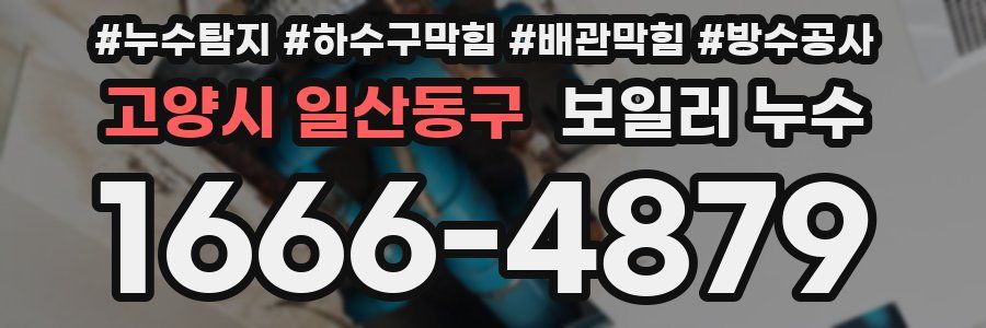 고양시 일산동구 보일러 누수
