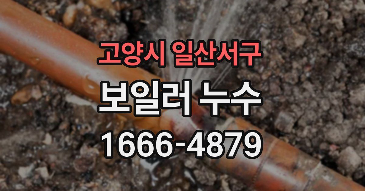 고양시 일산서구 보일러 누수
