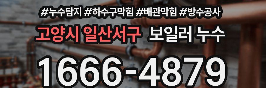 고양시 일산서구 보일러 누수