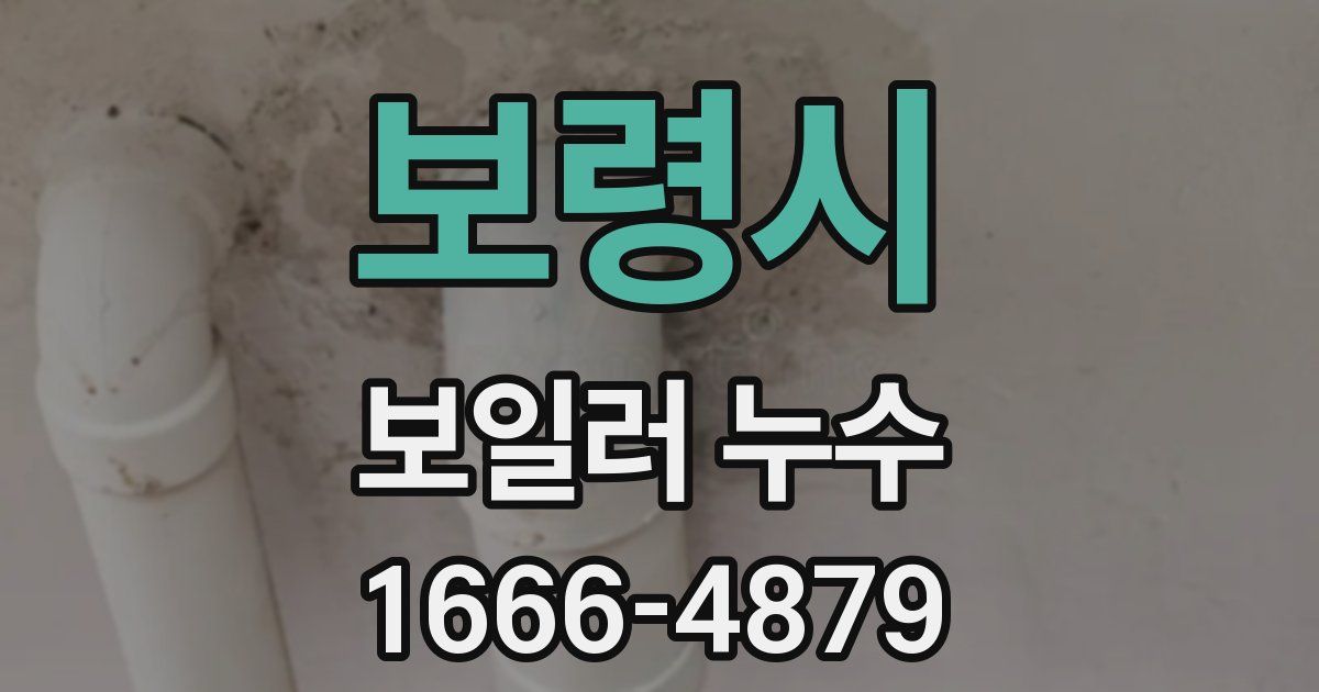보령시 보일러 누수