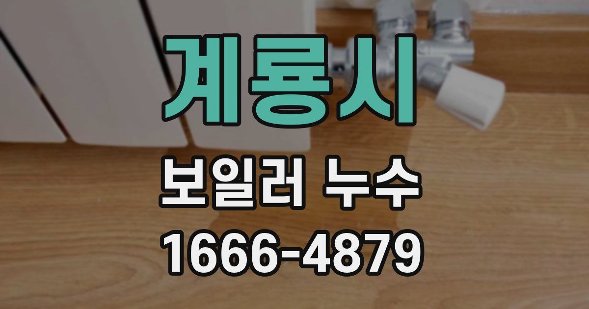 계룡시 보일러 누수