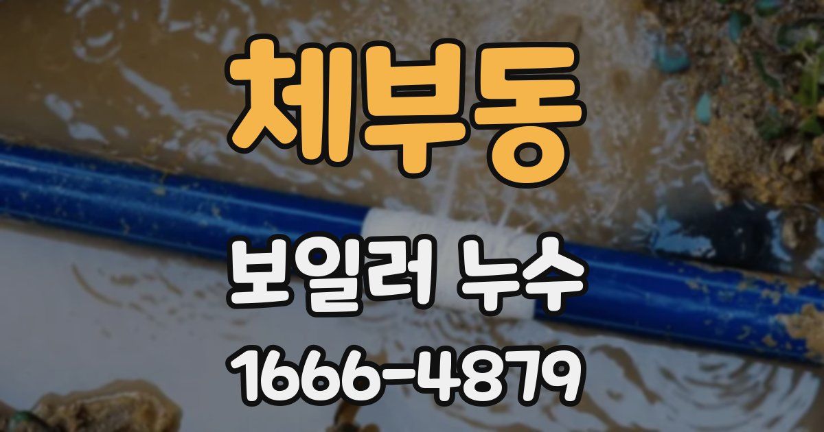 체부동 보일러 누수