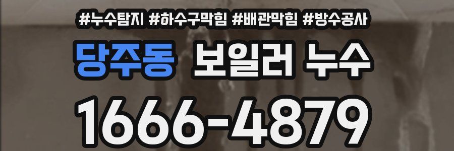 당주동 보일러 누수