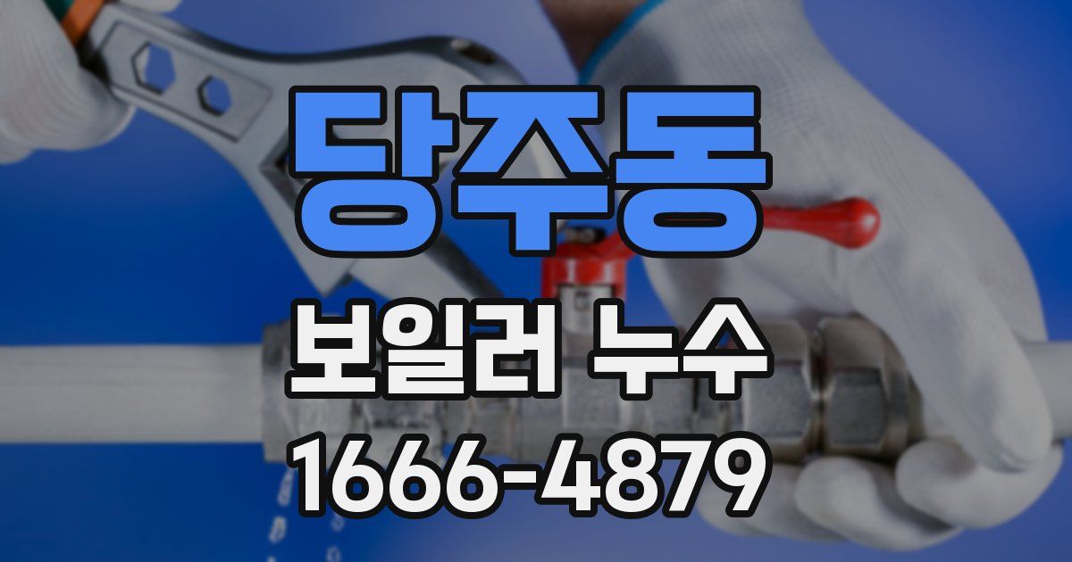 당주동 보일러 누수