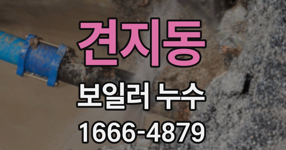 견지동 보일러 누수