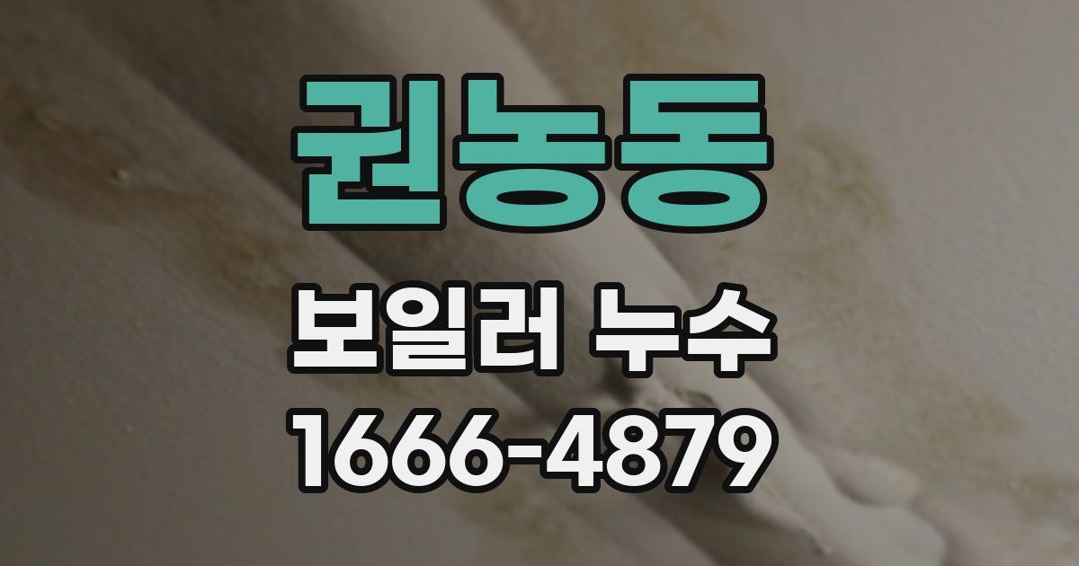 권농동 보일러 누수