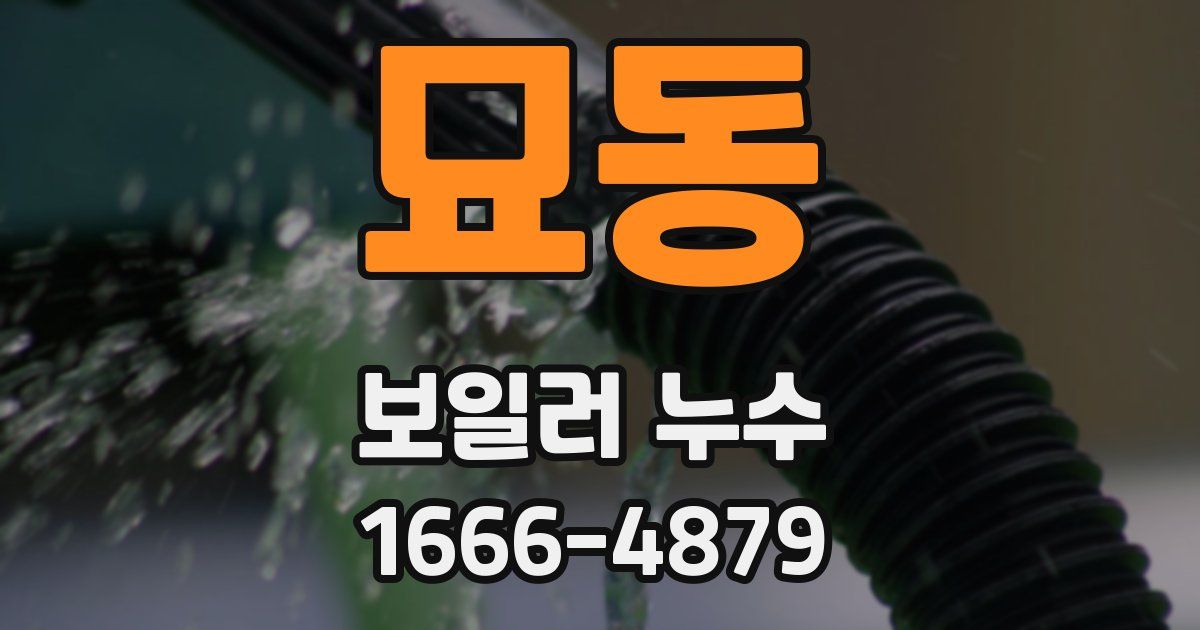 묘동 보일러 누수
