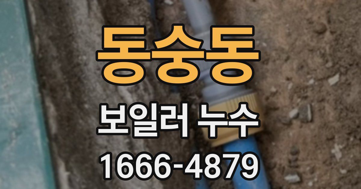 동숭동 보일러 누수