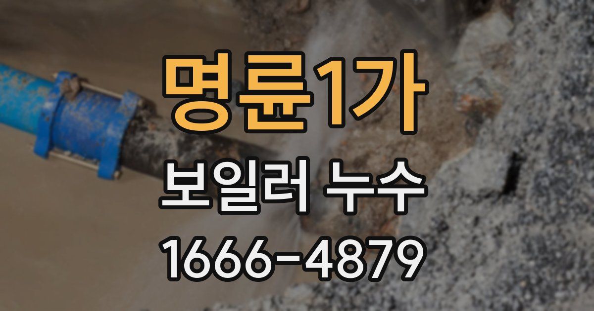 명륜1가 보일러 누수