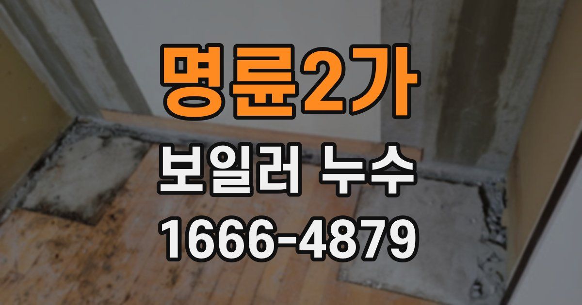 명륜2가 보일러 누수