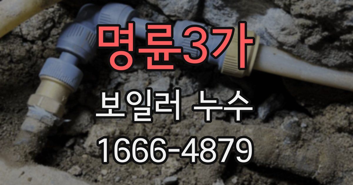 명륜3가 보일러 누수