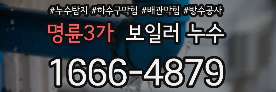 명륜3가 보일러 누수