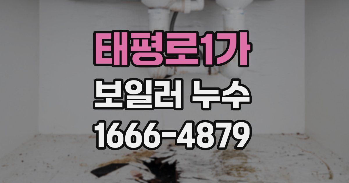 태평로1가 보일러 누수