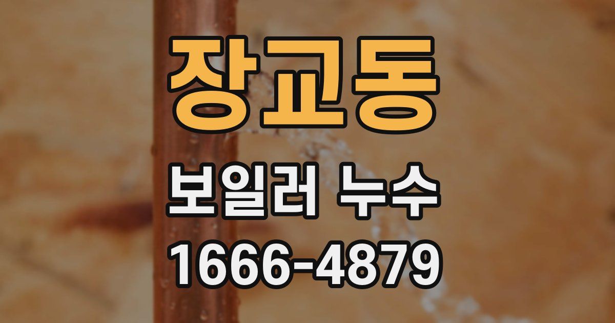 장교동 보일러 누수
