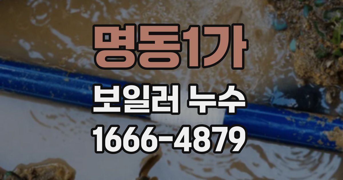 명동1가 보일러 누수