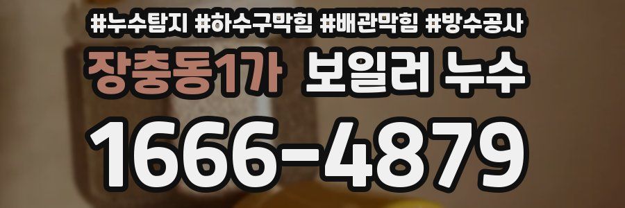 장충동1가 보일러 누수