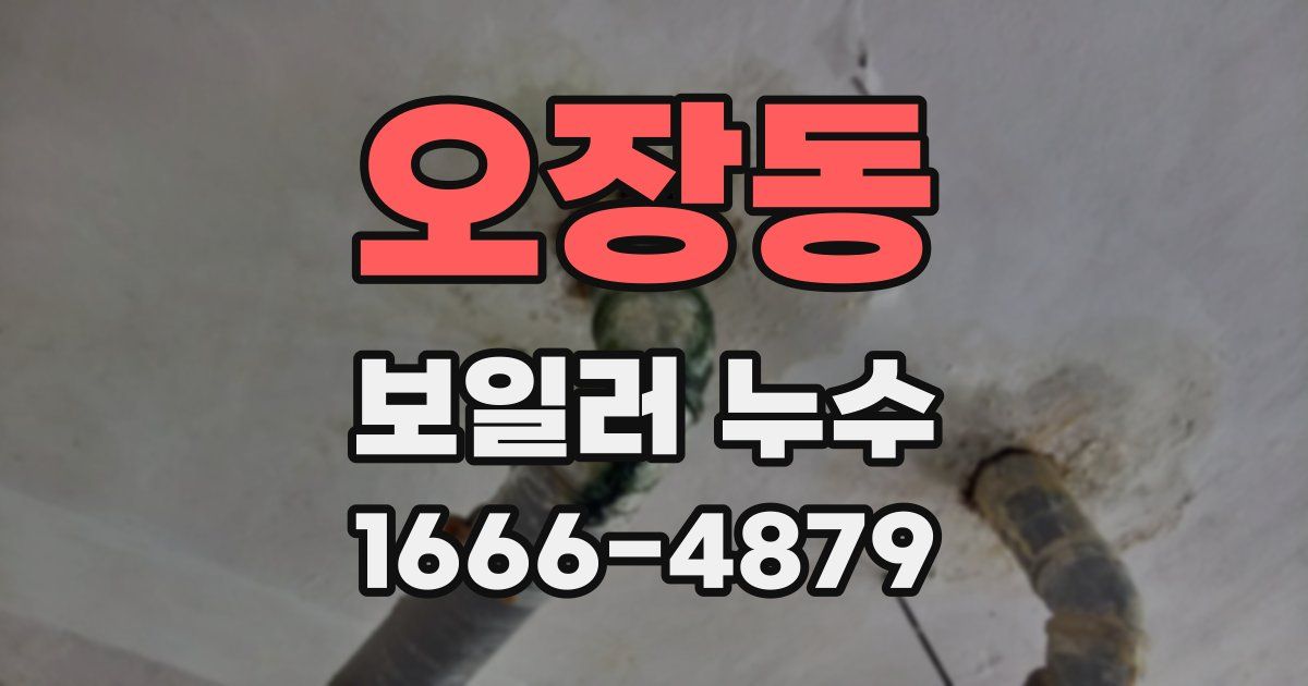오장동 보일러 누수