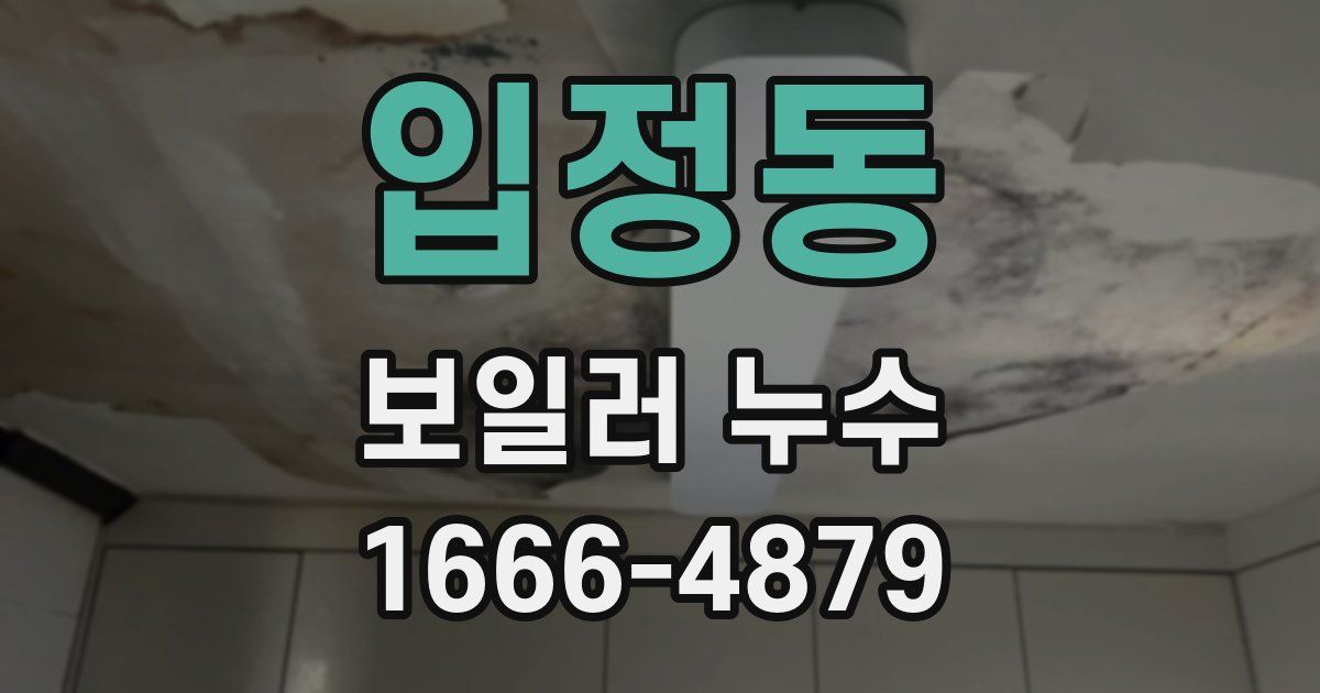 입정동 보일러 누수