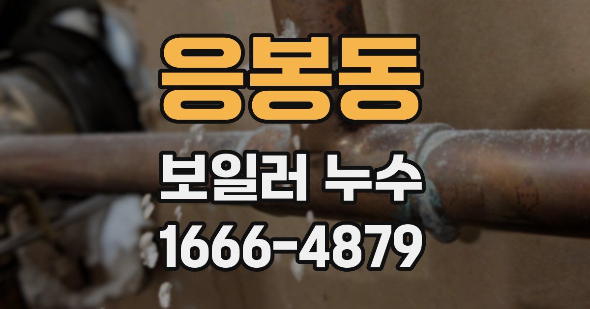 응봉동 보일러 누수