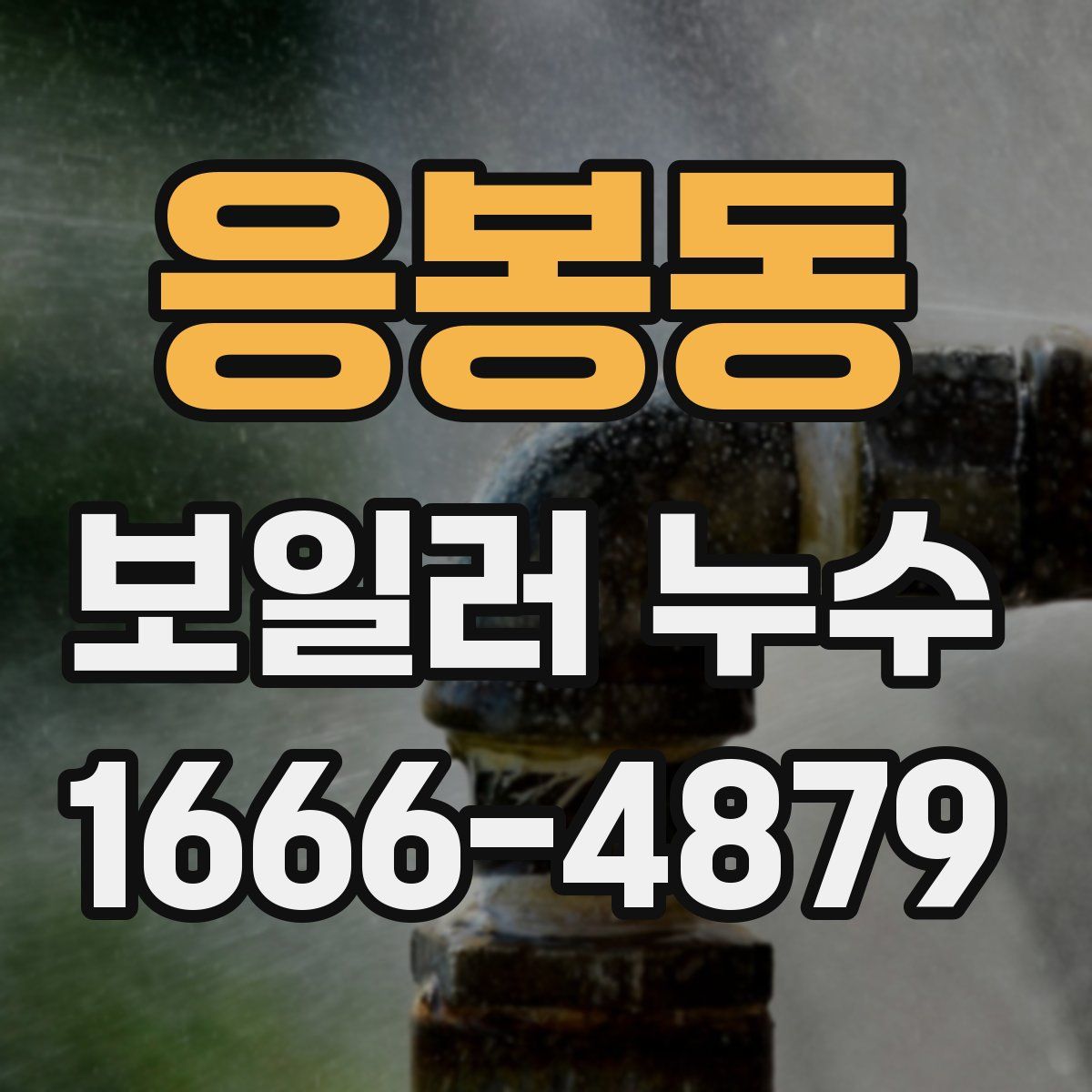 응봉동 보일러 누수