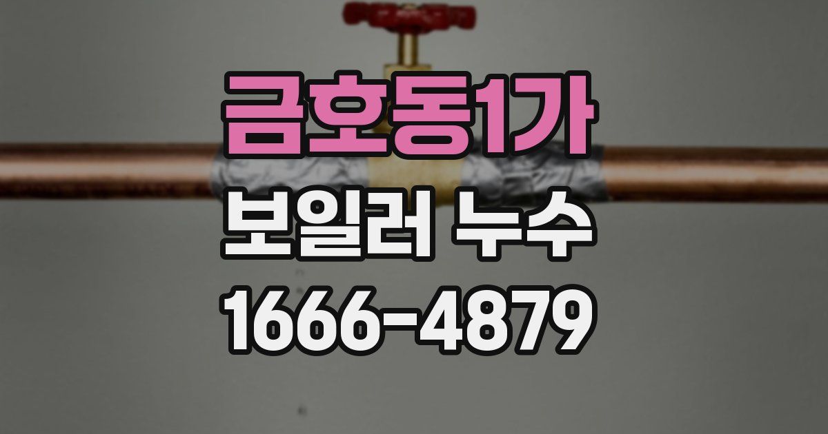 금호동1가 보일러 누수