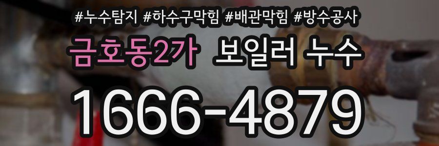 금호동2가 보일러 누수