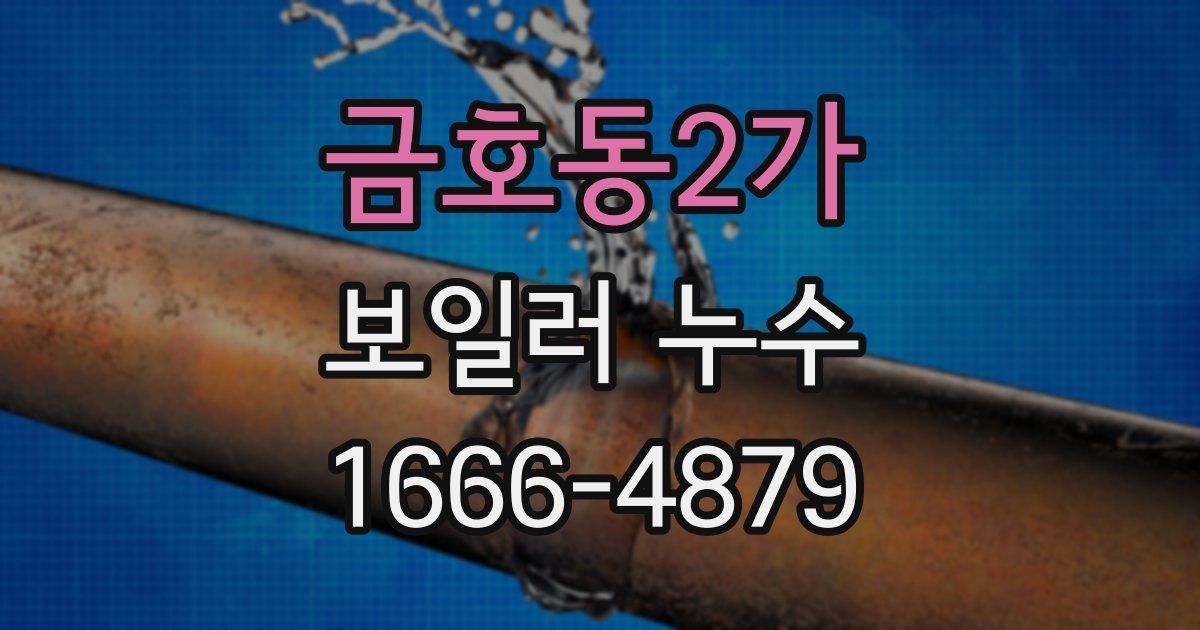 금호동2가 보일러 누수