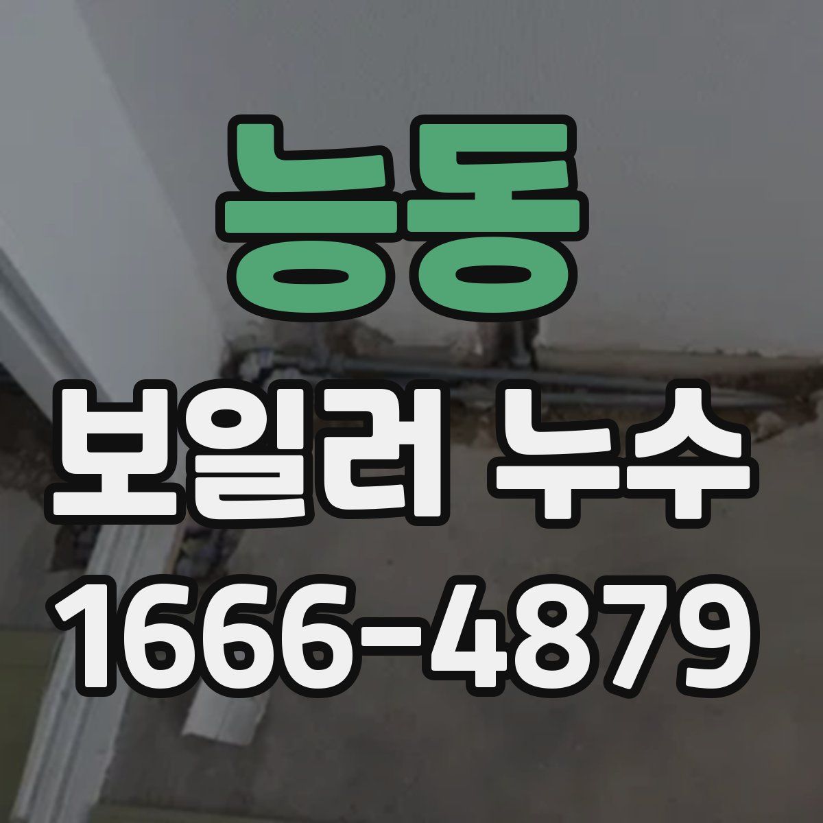 능동 보일러 누수