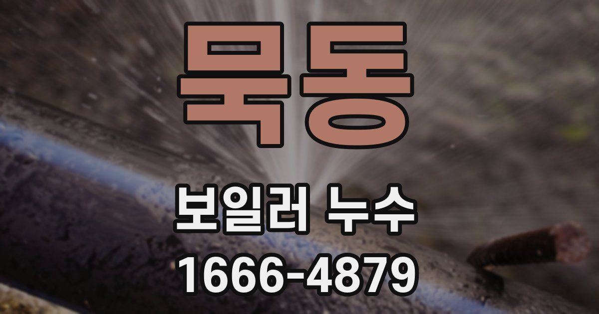 묵동 보일러 누수