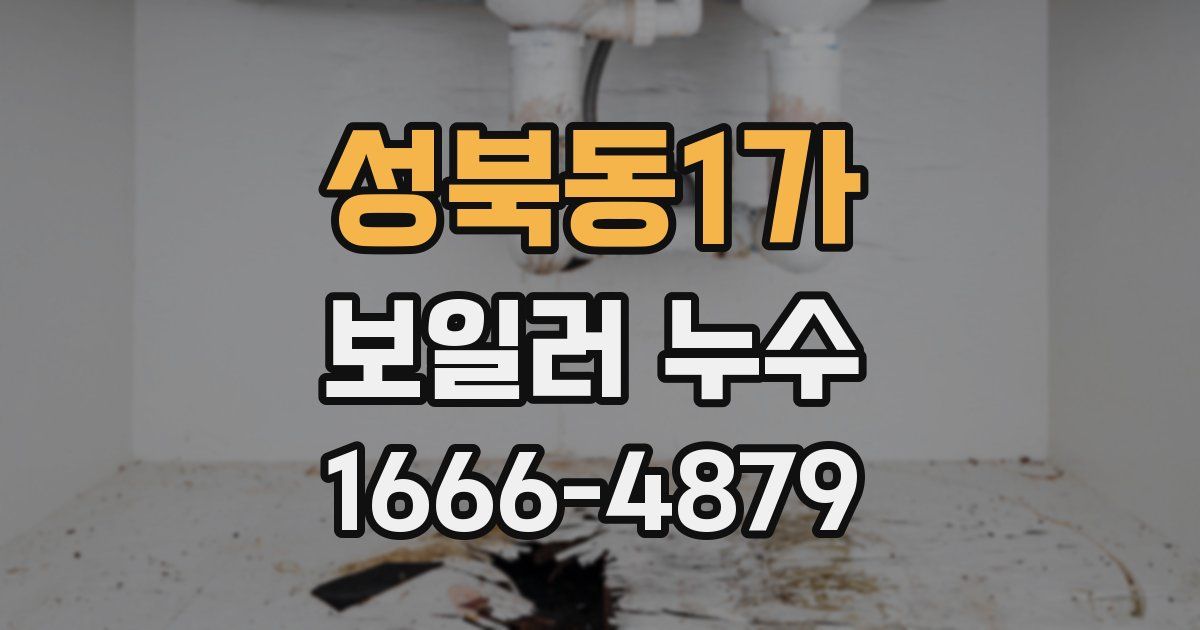 성북동1가 보일러 누수