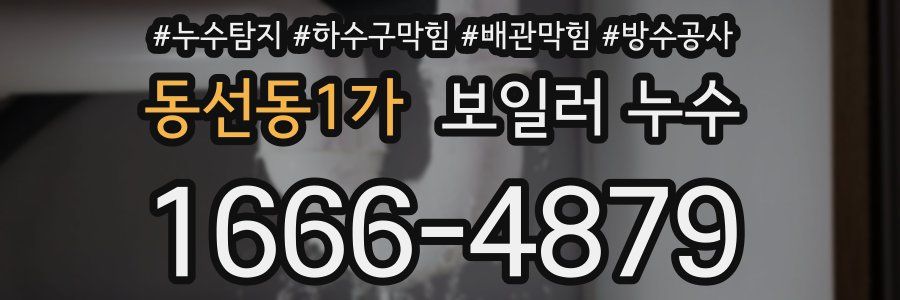 동선동1가 보일러 누수