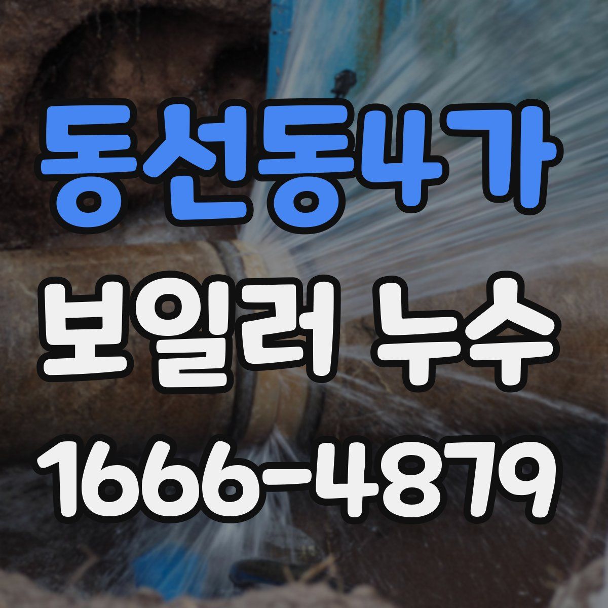 동선동4가 보일러 누수