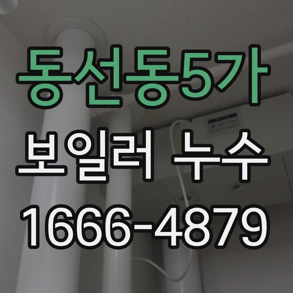 동선동5가 보일러 누수