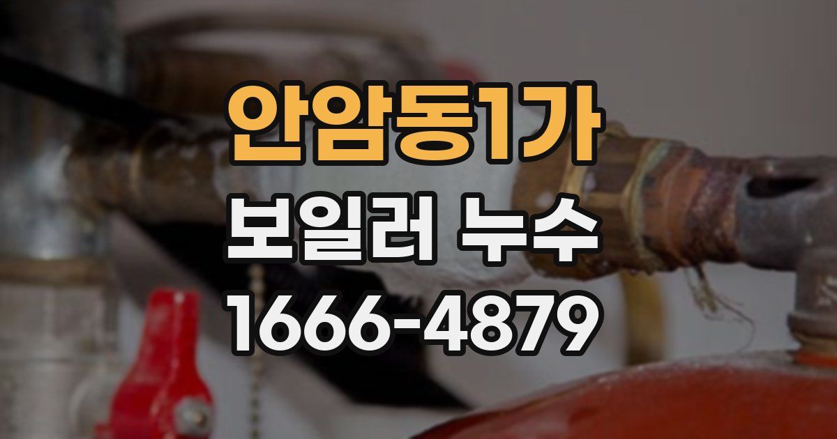 안암동1가 보일러 누수