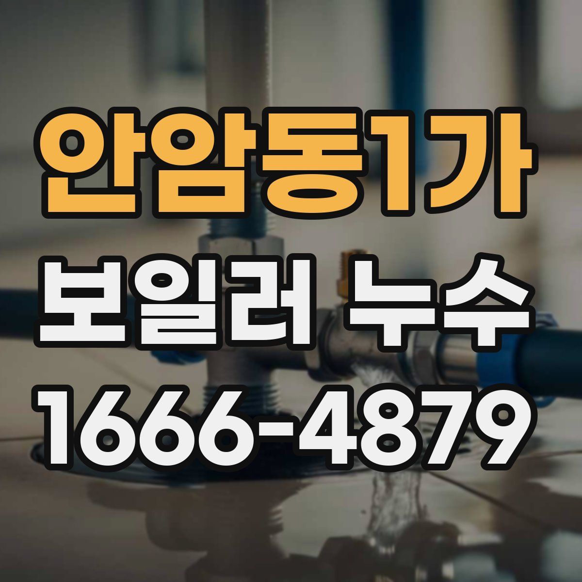 안암동1가 보일러 누수