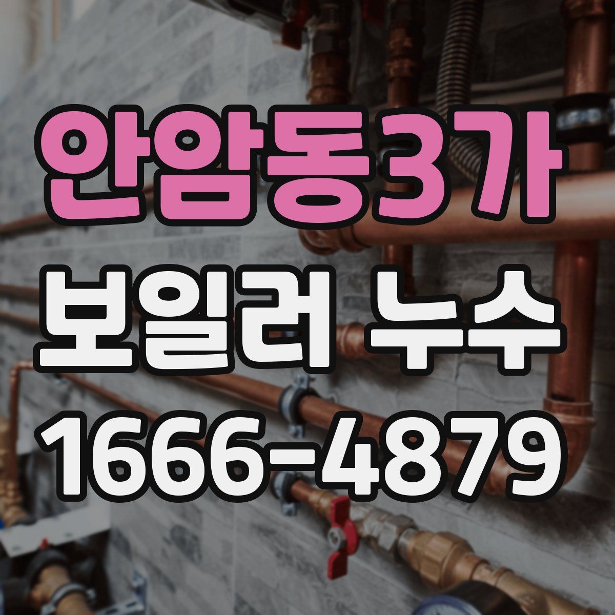 안암동3가 보일러 누수